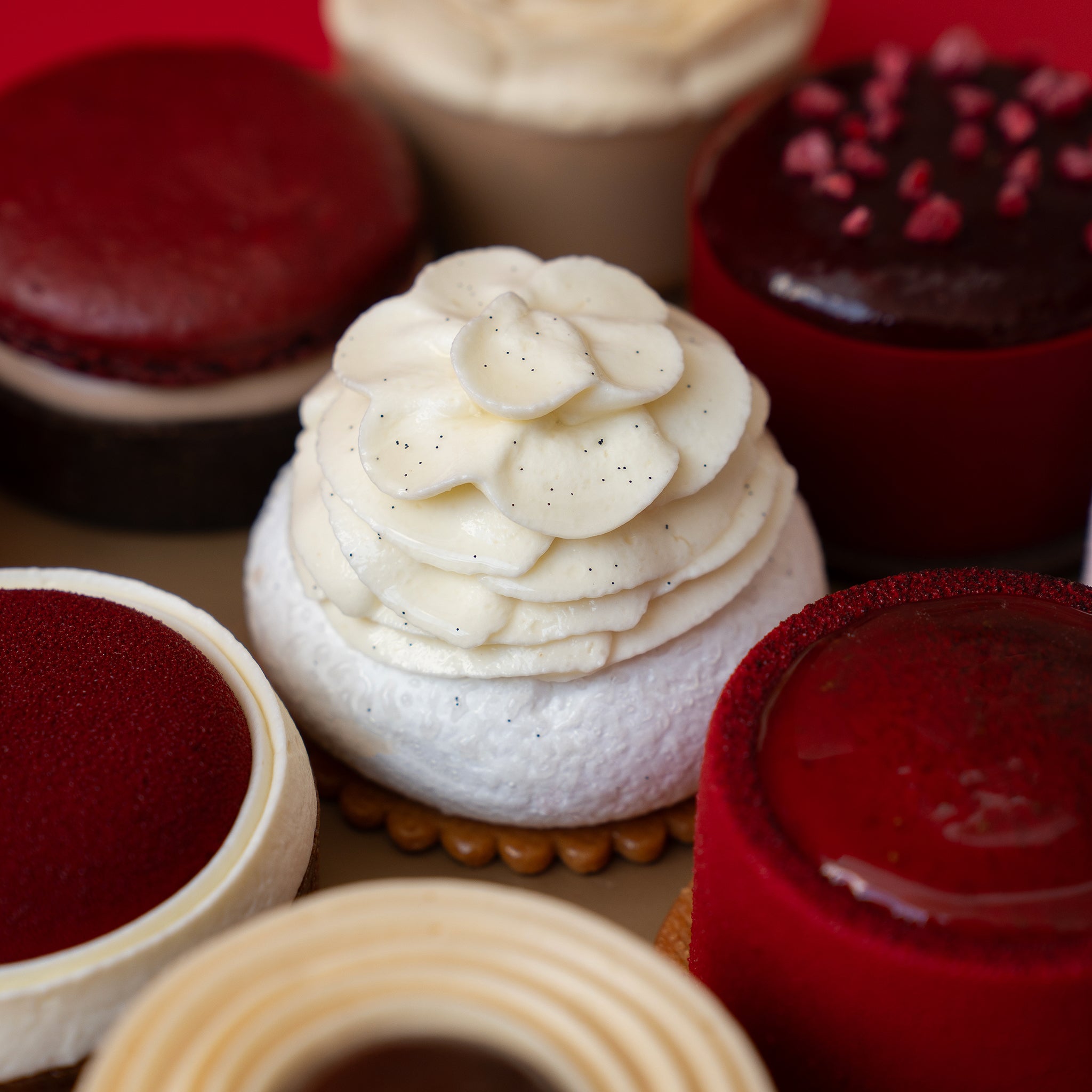 Degustación de petits x9